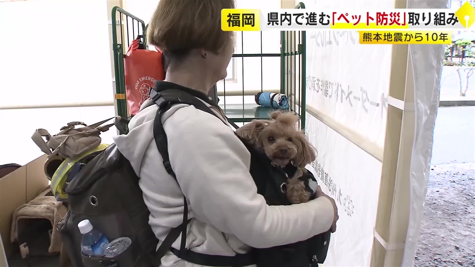 熊本地震10年　ペットを災害から守る取り組み　人と一緒に入れる「ペットシェルター」で日常と防災を両立へ　「車中泊」支援も課題　福岡