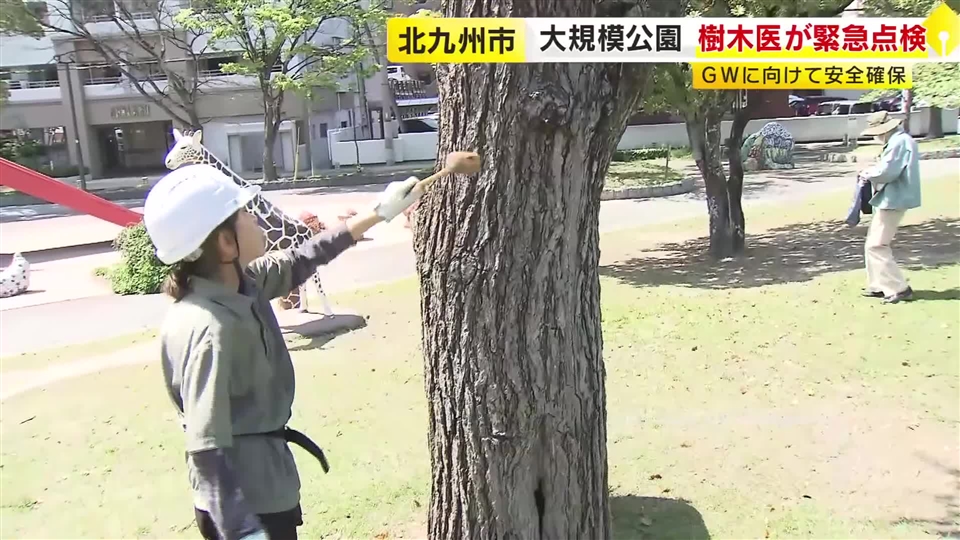 樹木医が5000本以上をチェック　北九州市が大規模公園で緊急点検　全国で相次ぐ倒木受けて　大型連休での利用見すえ　福岡