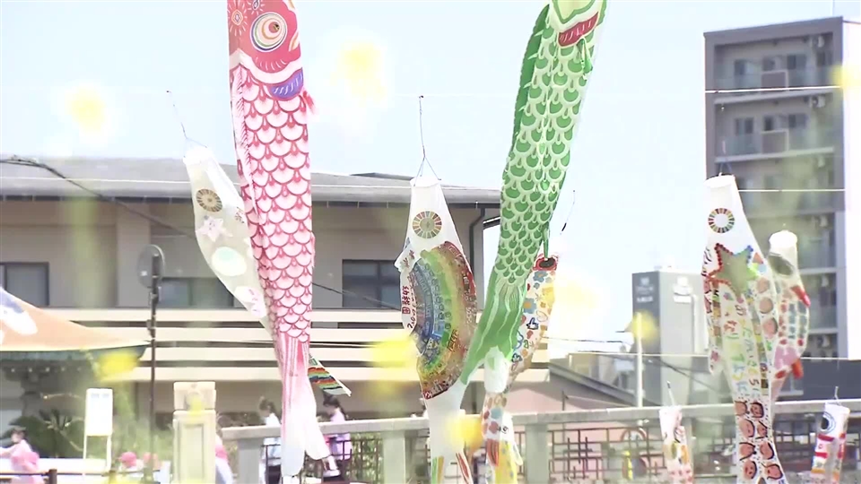 大空泳ぐ“特製こいのぼり”に歓喜の声　地元の園児がキャップや菓子袋を再利用して作る　約350匹が泳ぐ板櫃川　福岡・北九州市