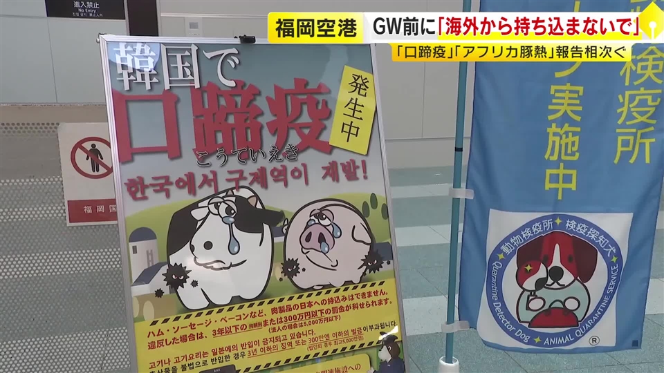 “海外から肉や肉製品を持ち込まないで”　GW前に福岡空港で呼びかけ　アジア地域で「アフリカ豚熱」「口蹄疫」感染報告相次ぐ