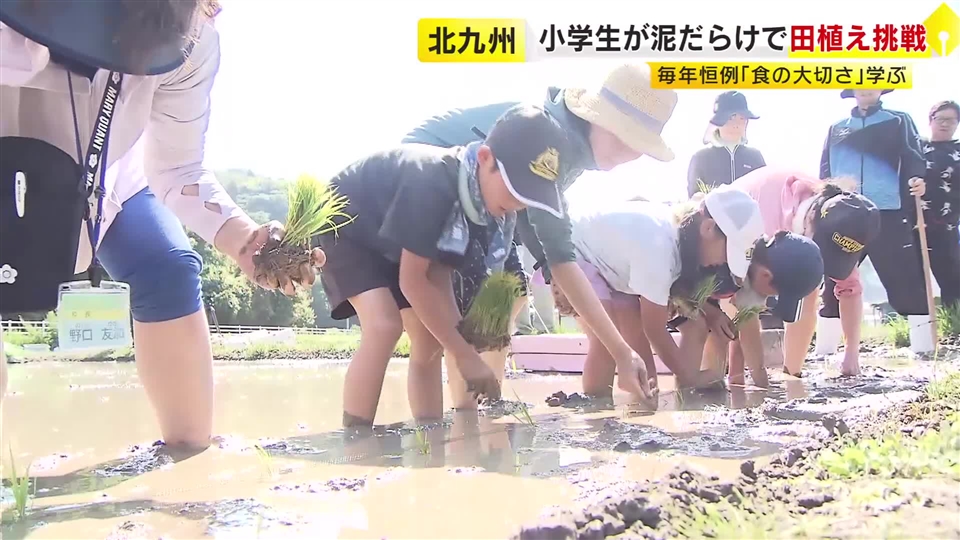 全校児童19人が泥んこに　小学生が恒例の田植え体験　ブランド米「夢つくし」を丁寧に　秋には稲刈りして収穫も　福岡・北九州市