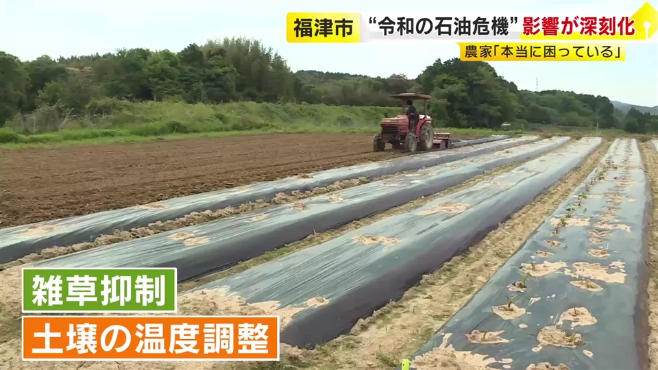 「本当に助かる」新タマネギ1.5キロ100円に笑顔　一方で生産現場は資材高騰で出荷に影響　“石油危機”で入手困難に　福岡