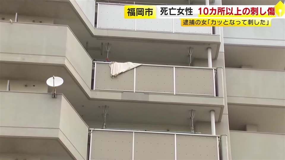 上半身など刺し傷10カ所以上　強い殺意で犯行か「カッとなって刺した」　33歳女性が刺され死亡した事件　福岡