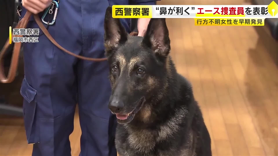 行方不明の80代女性を1時間半で発見　お手柄“エース警察犬”「ラガー」　枕カバーのにおい記憶し最悪の事態防ぐ　福岡