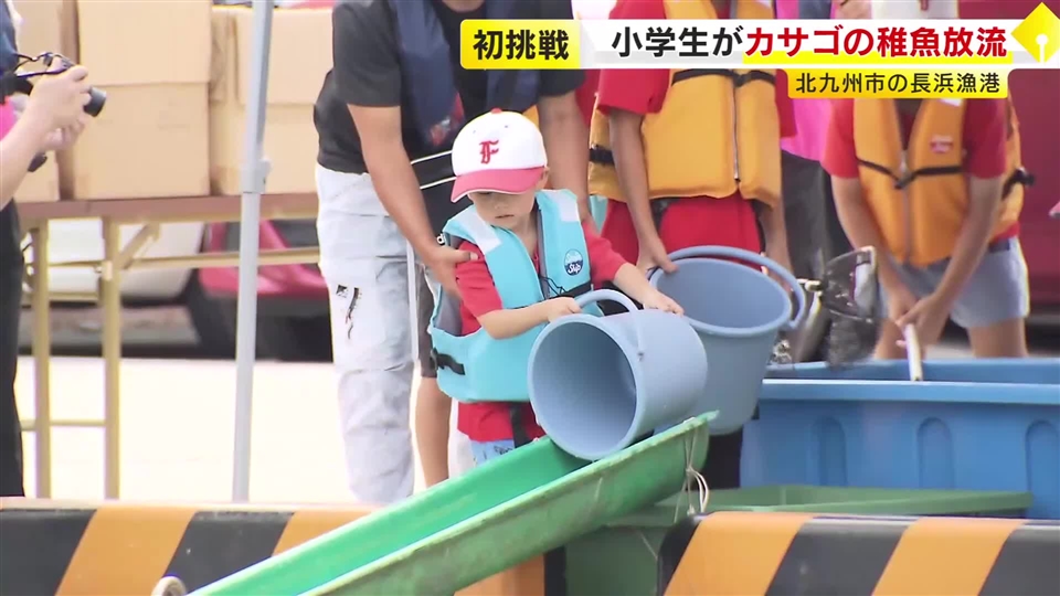 カサゴの稚魚2000匹を小学生が放流　北九州市の長浜地区　「次の世代に海の大切さが伝われば」　福岡