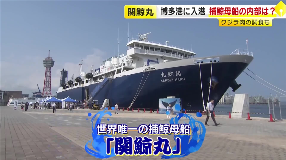「肉の味がしっかり！」初のクジラ料理に子供たちが舌鼓　世界唯一の捕鯨母船「関鯨丸」博多港に初入港　船内を一般公開　福岡