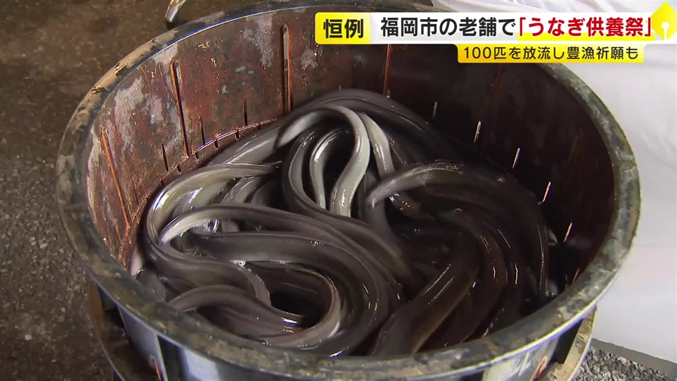 福岡市の老舗「吉塚うなぎ屋」で供養祭　ウナギに感謝を込めて　約100匹放流し来年の豊漁を祈願