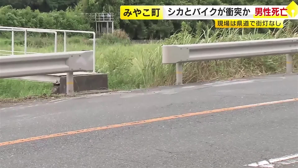 シカとバイクが衝突か　運転手の男性(65)が死亡　シカは瀕死状態で発見され死ぬ　福岡・みやこ町