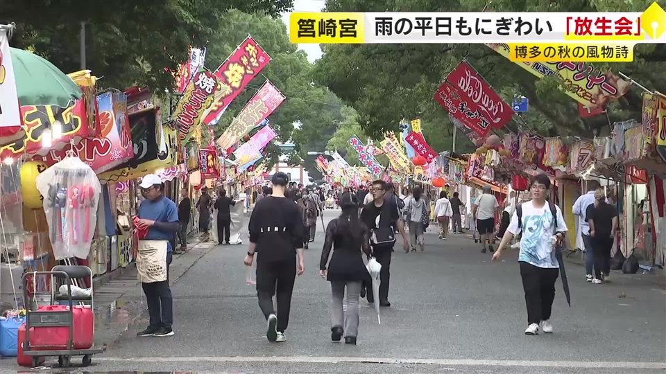「平日ねらって来た」筥崎宮の放生会　雨の中でもにぎわう参道　縁起物の新ショウガを手に　期間中100万人の人出を予想　福岡