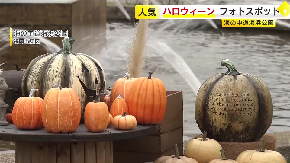 カボチャにお化け…ハロウィーンの撮影スポット登場　100万本のコスモスも満開に　秋色に染まる海の中道海浜公園　福岡