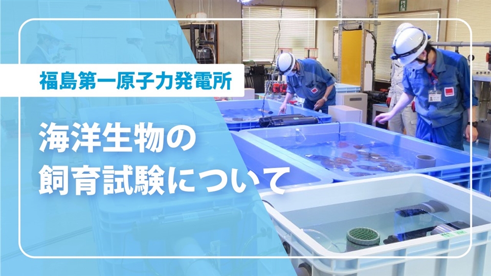 動画アーカイブ｜写真・映像ライブラリー｜東京電力ホールディングス