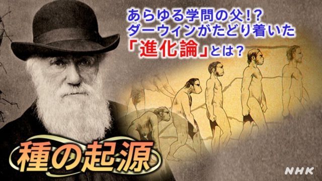 種の起源」ダーウィンは“進化論”をどう確立したのか？ - イモヅル式に学ぼう!NHKラーニング - NHK