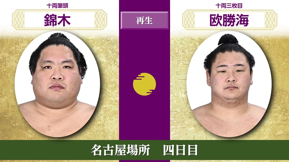 パンダさま　名古屋場所　大相撲　タマリ 速報❗️鉄人 玉鷲 vs 高安【大相撲令和7年7月場所】13日目 2025