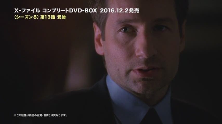 デヴィッド・ドゥカヴニー/X-ファイル コンプリート DVD-BOX(「X 